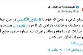 توییت دکتر ولایتی درباره اظهار نظر سران غربی و عربی  در مورد حضور صلح آمیز ایران در منطقه