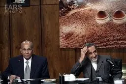 دیدار اندیشمندان مصری با دکتر ولایتی/عکس