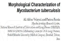 تقدیر از نویسندگان اثری که 3000 بار در دنیا دانلود شد