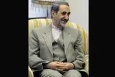 مذاکره کنندگان در چارچوب تعیین شده رهبری حرکت می‌کنند