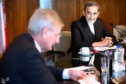 وزیر امور خارجه سوئد با ولایتی دیدار کرد