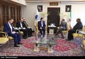تصاویر دیدار با سفیر سوریه در تهران/سید محمود حسینی