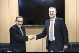 تصاویر دیدار دکتر ولایتی با معاون وزیر خارجه آلمان/حسینی- جلالی