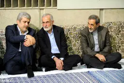 ولایتی، ناطق نوری و خرازی در دیدار مسئولان با رهبر انقلاب/عکس