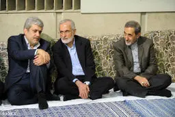ولایتی، ناطق نوری و خرازی در دیدار مسئولان با رهبر انقلاب/عکس