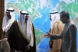 جنبش عدم تعهد برای مبارزه با داعش از ظرفیت‌های بسیاری برخوردار است