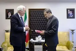 دیدار رئیس موسسه علمی پژوهشی سیپری سوئد با ولایتی/عکس