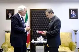 دیدار رئیس موسسه علمی پژوهشی سیپری سوئد با ولایتی/عکس
