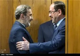 دیدار دکتر ولایتی با نوری مالکی/عکس
