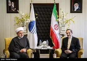 تصاویر دیدار با معاون اول مجلس عراق/حامد ملک پور
