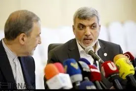 تصاویر دیدار دکتر ولایتی با عضو سیاسی حماس
