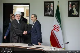 تصاویر دیدار دکتر ولایتی با رئیس مجلس اعلای عراق