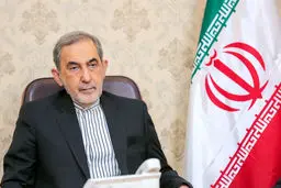 هدف اسنپ بک فشار بر محور مقاومت و جلوگیری از قدرت دفاعی ایران است/ترامپ مانند هیتلر است!