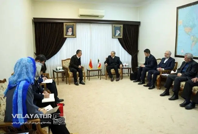 گزارش تصویری-دیدار دکتر ولایتی با هیأتی از آکادمی علوم اجتماعی چین