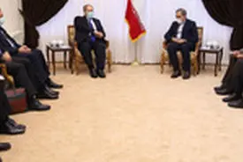 ایستادگی ملت سوریه موجب تقویت جبهه مقاومت و از بین رفتن توطئه دشمنان شد