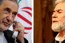 وعده الهی در آزادسازی تمامی سرزمین های اشغالی فلسطین و قدس شریف محقق خواهد شد
