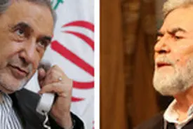 وعده الهی در آزادسازی تمامی سرزمین های اشغالی فلسطین و قدس شریف محقق خواهد شد