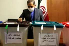 دکتر ولایتی در انتخابات شرکت کرد