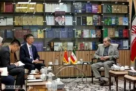 دیدار دکتر ولایتی با سفیر جدید چین در ایران