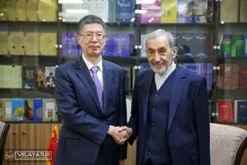 دیدار دکتر ولایتی و سفیر چین در ایران