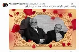 تویت دکتر ولایتی در پی شهادت دکتر طهرانچی