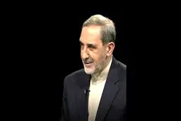 ویدیو-ادبیات فارسی بدون تردید در قله ادبیات جهان است